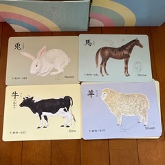 【お譲り先決定】楽しみながら賢いお子様へ♪　教材　絵カードの画像