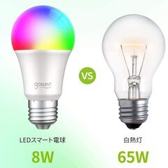 Gosund 調光調色 LED スマート電球 2個 遠隔操作 マルチカラーの画像