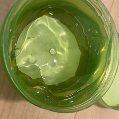 アロエベラ　ALOE VERAの画像