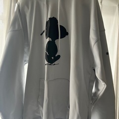 スヌーピー　VESP 21-22モデルの画像