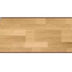 中古美品ホットマット、ホットカーペット、足元暖房用、55*110...