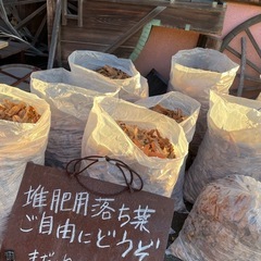 堆肥用落ち葉
