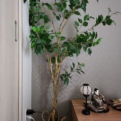ニトリ　フェイクグリーン　観葉植物　鉢つき