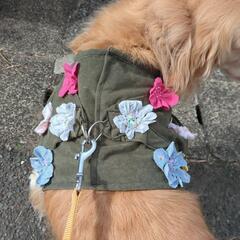 大型犬胴輪