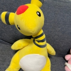 ポケモンセットの画像
