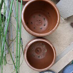 植木鉢の画像