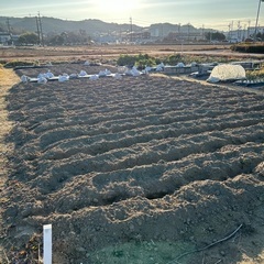 野菜づくり情報共有会
