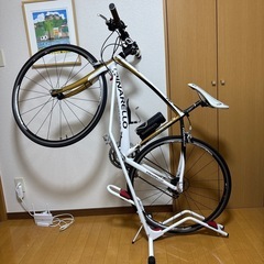 ピナレロ トレビソ
