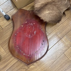鹿の首　壁にかけるやつの画像