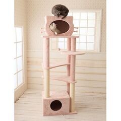 キャットウォークの中古が安い！激安で譲ります・無料であげます｜ジモティー