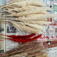 ドライフラワー 大量　まとめ売りの画像