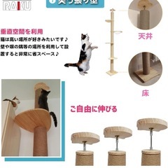 猫タワー無料の画像
