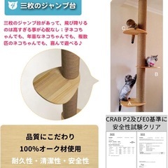 猫タワー無料の画像