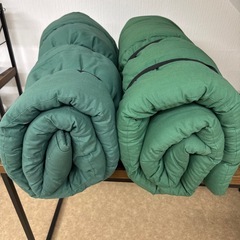 Coleman寝袋 2個
の画像
