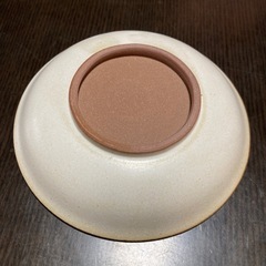 【新品未使用】たち吉　乾山写　小皿　柄違い　ベージュ系　箱付き　12cmの画像