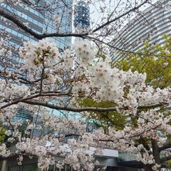 平日(できれば木曜日)にも会える友達を募集中です!!