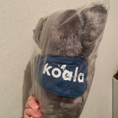 新品　コアラ　ぬいぐるみの画像