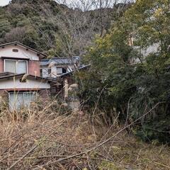 選定木　　枝木の画像