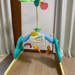 プーメリー　取説付き　　