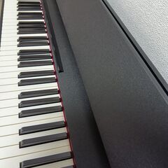 2024年12月購入：Roland-F107