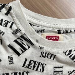 Ｔシャツの画像