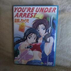 逮捕しちゃうぞ劇場版＆OVA 3枚セットの画像