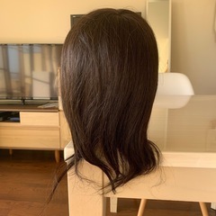 カットマネキン　新品の画像