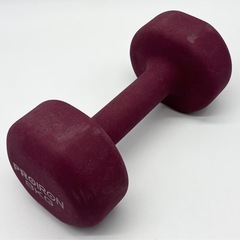 中古◆ダンベル◆8kg◆プロイソン◆１個のみ