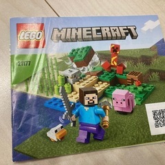 LEGO  Minecraft 21177の画像