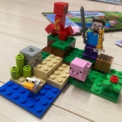 LEGO  Minecraft 21177の画像
