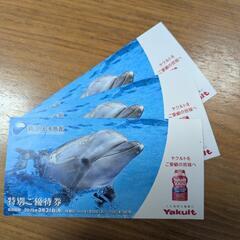 新江ノ島水族館　優待券　3枚セットの画像