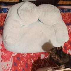 ワンちゃん猫ちゃんのベッド