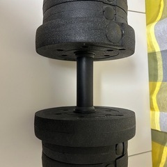 筋トレダンベルの画像