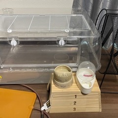 小動物飼育セット