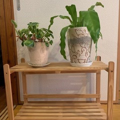 ウッドラック　２段