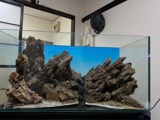 虎石のレイアウト、水槽の装飾