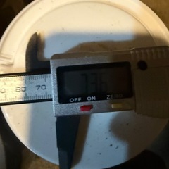 アンタエウスオオクワガタ　73.6ミリの画像