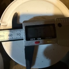 アンタエウスオオクワガタ　73.6ミリの画像