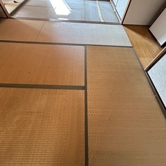 畳 貰ったください！の画像