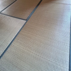 畳 貰ったください！の画像
