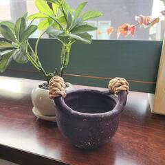容器(受け渡し決定)の画像
