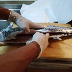 釣り仲間募集 - メンバー募集