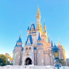 ディズニー女友達が欲しいです！