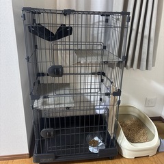 猫ゲージ