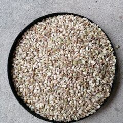 青米（くず米）、集荷買取り致します！