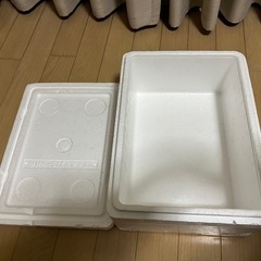 発泡スチロール容器　蓋付きの画像