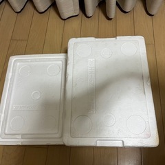 発泡スチロール容器　蓋付きの画像