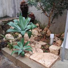 造園工および土木作業員の画像