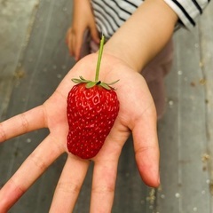 名古屋⭐︎40代⭐︎ママ友募集してます（名古屋市外の方でも歓迎）