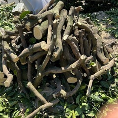 焚き物の画像